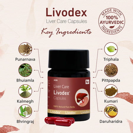 Livodex Capsules 10 Caps | Liver Health Supplement | Detox Liver (Pack Of 4)