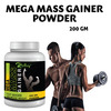 Riffway Mega Mass Gainer Weight Gain Powder | Promote Healthy Digestion & Gut Function (1X200gm)