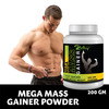 Riffway Mega Mass Gainer Weight Gain Powder | Promote Healthy Digestion & Gut Function (1X200gm)