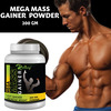 Riffway Mega Mass Gainer Weight Gain Powder | Promote Healthy Digestion & Gut Function (1X200gm)