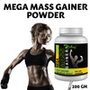 Riffway Mega Mass Gainer Weight Gain Powder | Promote Healthy Digestion & Gut Function (1X200gm)