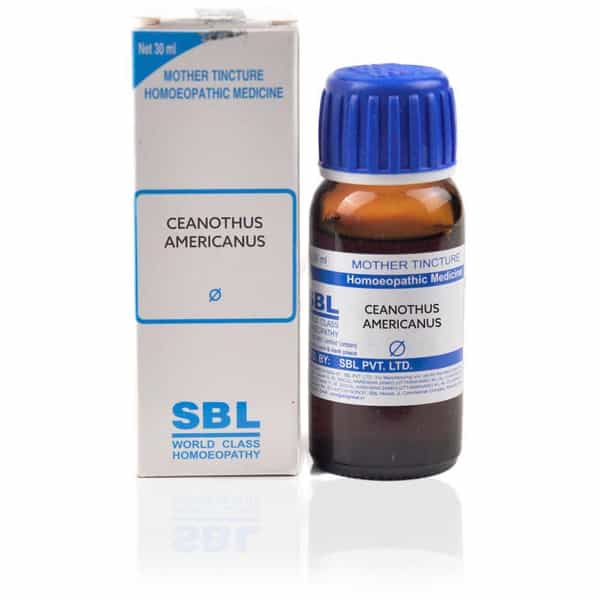 Sbl Ceanothus Americanus Mother Tincture Q 30 Ml Pack Of 2