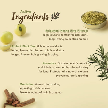 Nat Habit Ready To Apply Henna Paste Rich Brown Shade 220 Gm (Pack Of 2)