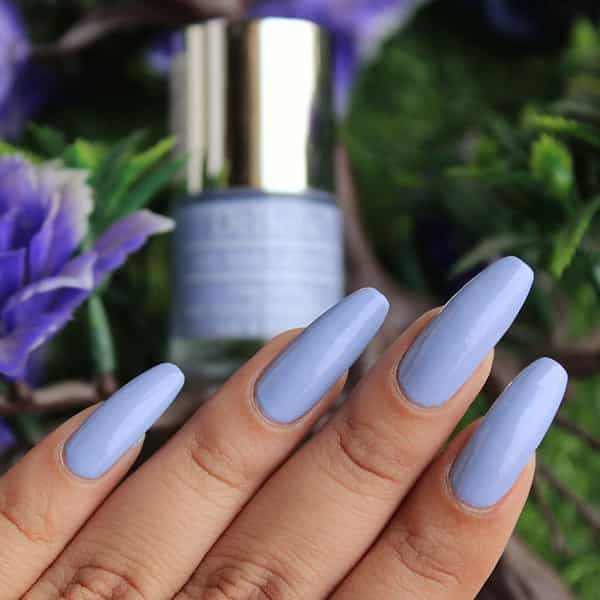 Debelle Gel Nail Polish Combo Set Of 3 Chrome Wine 24 Ml (8 Ml Each)