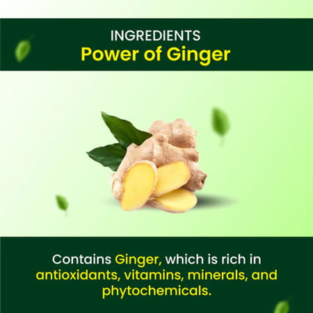 Cipzer Ginger 30 Capsules | Supports Digestive Health & Metabolic Wellness