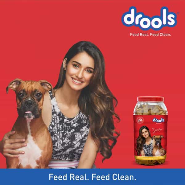 Drools Dog Treat Biscuits | Chicken And Egg Flavor 400G Pack | All Life Stages