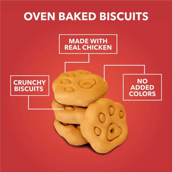 Drools Dog Treat Biscuits | Chicken And Egg Flavor 400G Pack | All Life Stages