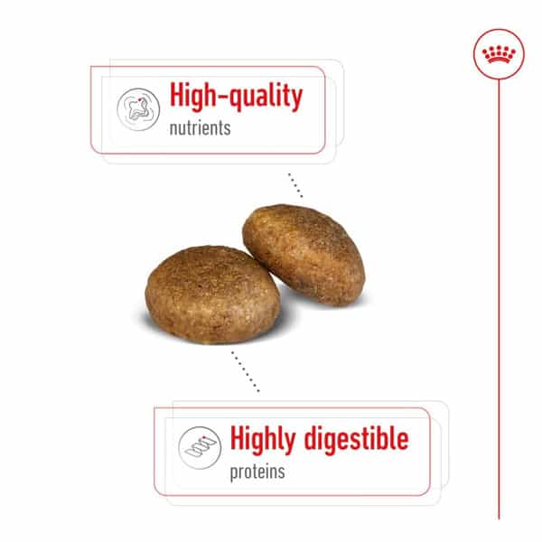 Royal Canin Maxi Adult Dog Food | 10 Kg | Dry Food | Supports Digestive Health & Optimal Health
