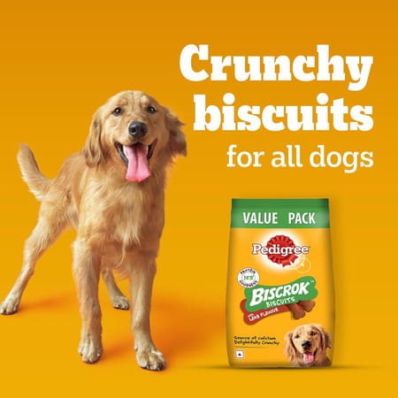 Pedigree Biscrok Biscuits (Above 4 Months) Dog Treats | Lamb Flavour | 900 G