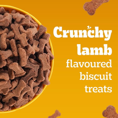 Pedigree Biscrok Biscuits (Above 4 Months) Dog Treats | Lamb Flavour | 900 G
