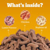 Pedigree Biscrok Biscuits (Above 4 Months) Dog Treats | Lamb Flavour | 900 G