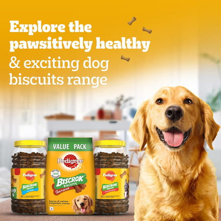 Pedigree Biscrok Biscuits (Above 4 Months) Dog Treats | Lamb Flavour | 900 G