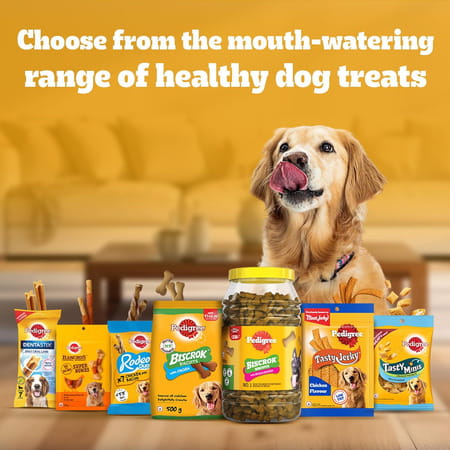 Pedigree Biscrok Biscuits (Above 4 Months) Dog Treats | Lamb Flavour | 900 G