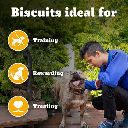 Pedigree Biscrok Biscuits (Above 4 Months) Dog Treats | Lamb Flavour | 900 G
