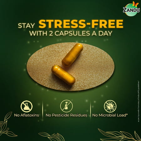 Zandu Ashwagandha Gold Plus | Reduces Stress | Increases Stamina | Enhances Immunity 60 Capsules