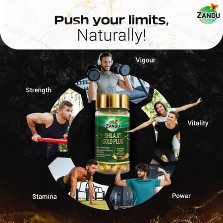 Zandu Ashwagandha Gold Plus | Reduces Stress | Increases Stamina | Enhances Immunity 60 Capsules