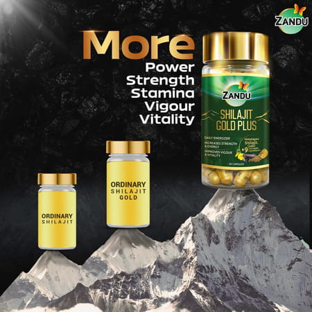 Zandu Ashwagandha Gold Plus | Reduces Stress | Increases Stamina | Enhances Immunity 60 Capsules
