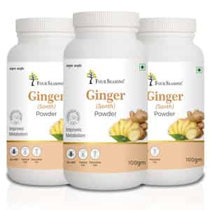 Four Seasons Ginger Powder 100g | Sonth Powder - For Cooking Baking & Tea (pack Of 3)