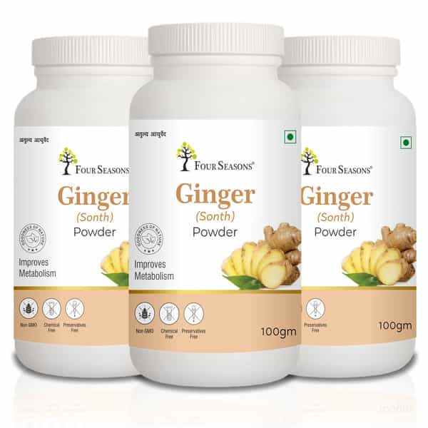 Four Seasons Ginger Powder 100G | Sonth Powder - For Cooking Baking & Tea (Pack Of 3)