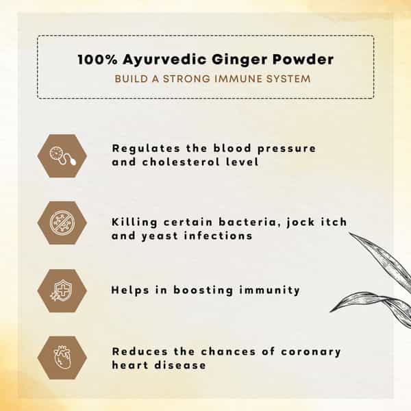 Four Seasons Ginger Powder 100G | Sonth Powder - For Cooking Baking & Tea (Pack Of 3)