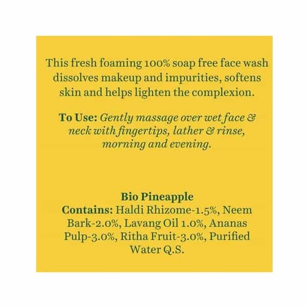 Biotique Bio Pine Apple Oil Control Foaming Face Wash For Normal To Oily Skin 100 Ml