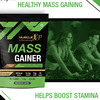 Musclexp Mass Gainer Chocolate Fudge 1kg Pouch (2.2 Lb)