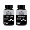 Earth King Premium Shilajit/Shilajeet Extract Capsule - 500 Mg 60 Capsules (Pack Of 2)