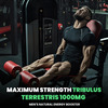 Naturyz Testo-6 Plant Based Supplement For Men With Tribulus, Safed Musli, Ashwagandha (60 Tablets)