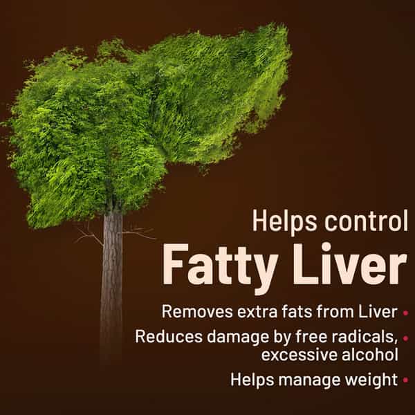 Gynoveda Liver Detox Ayurvedic Tablets. Kutki Protects From Damage Caused By Alcohol 360 Tablets