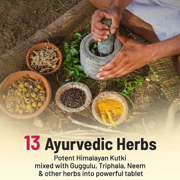 Gynoveda Liver Detox Ayurvedic Tablets. Kutki Protects From Damage Caused By Alcohol 360 Tablets