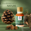 Ayouthveda Cedarwood Essential Oil With Earthy Aroma To Promote Relaxation & Calmness 15 Gm