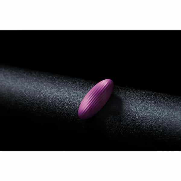 Svakom Panty Vibrator Savkom Echo Neo