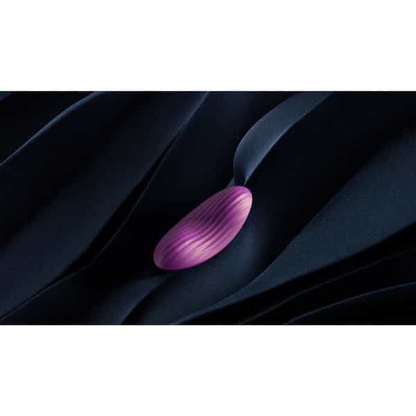 Svakom Panty Vibrator Savkom Echo Neo