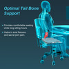 Tynor Coccyx Cushion Seat Grey Universal Size 1 Unit