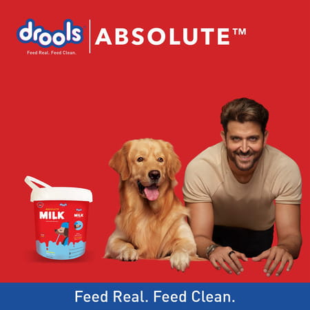 Drools Absolute Milk For Newborn Puppies 500g