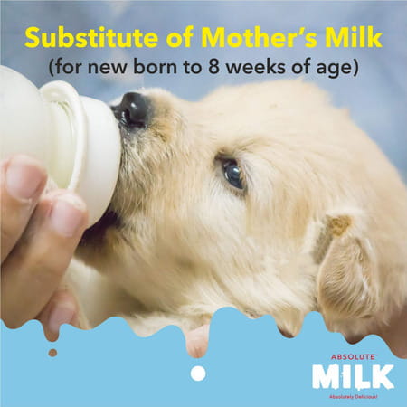 Drools Absolute Milk For Newborn Puppies 500g