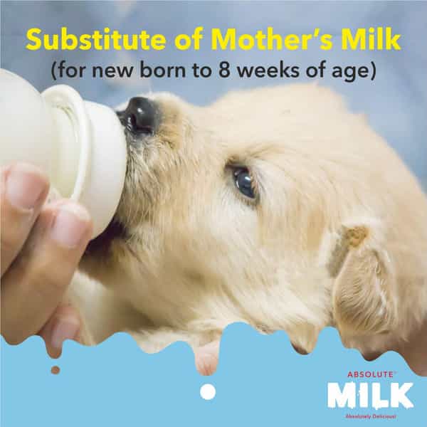 Drools Absolute Milk For Newborn Puppies 500G