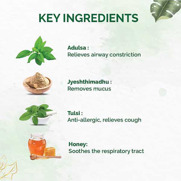 Dr. Vaidya's Tulsi Ginger Cough Syrup - 100 Ml - Pack Of 1