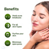 Love Earth Green Tea Toner With Richness Of Green Tea & Essential Oil For Moisturised Skin 100Ml