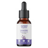Aravi Organic Lavender Essential Oil - Calms Mind | Relieves Stress - 15Ml