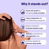 Aravi Organic Lavender Essential Oil - Calms Mind | Relieves Stress - 15Ml