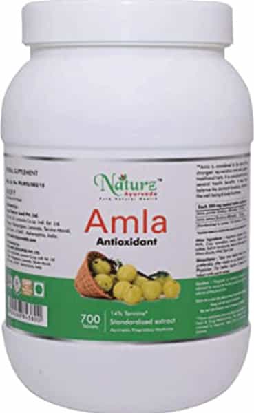 Naturz Ayurveda Amla 700 Tablets