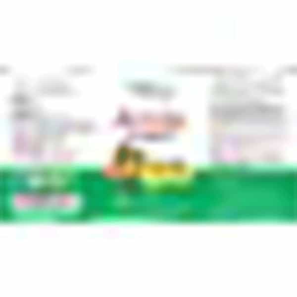 Naturz Ayurveda Amla 700 Tablets