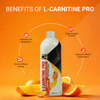 Muscleblaze Liquid L - Carnitine Pro (Tangy Orange | 450Ml) | 3300Mg L - Carnitine