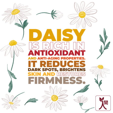Ningen Restorative Anti-Wrinkle Skin Cream Grapeseed Daisy Orchid Extracts Reduces Wrinkles 100g