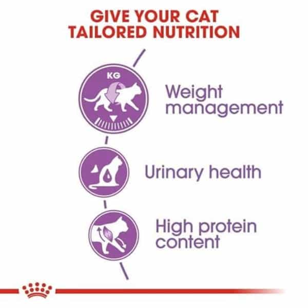 Royal Canin Sterilised 37 Regular Adult Cat Food | 2 Kg | Dry Food