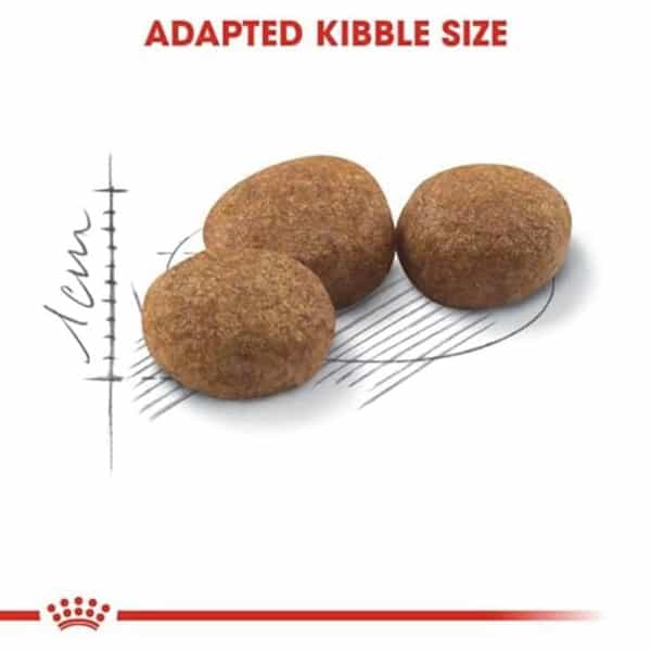 Royal Canin Sterilised 37 Regular Adult Cat Food | 2 Kg | Dry Food