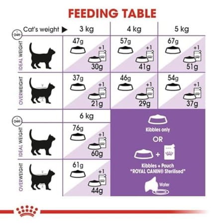 Royal Canin Sterilised 37 Regular Adult Cat Food | 2 Kg | Dry Food