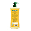 Nature's Essence Almond & Honey Body Lotion | Nourishing & Moisturizing | Non Greasy Lotion 500Ml