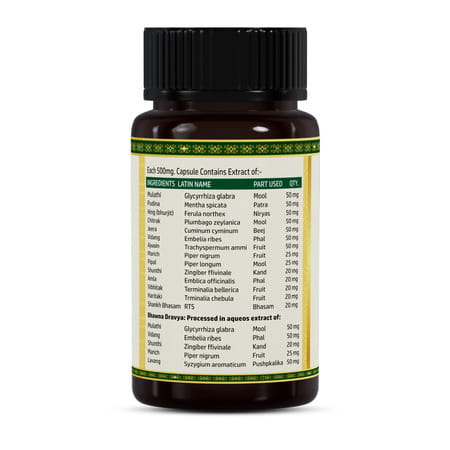 Jeena Sikho Amalpit Nashak | Digestive Wellness Herbal Supplements | 60 Capsules